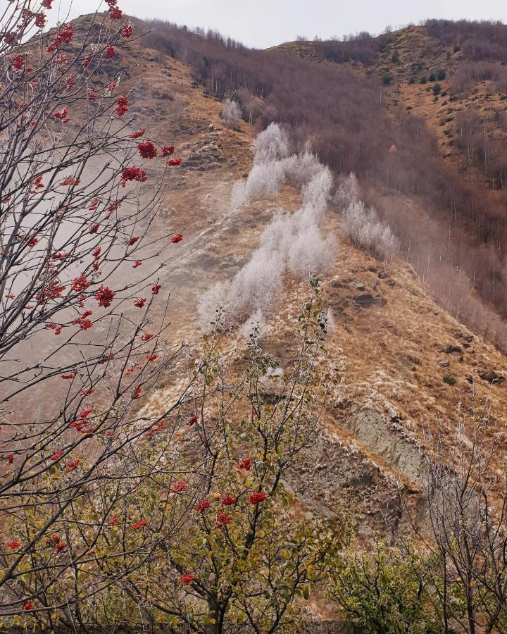 Red Stone Guest House Kazbegi Εξωτερικό φωτογραφία
